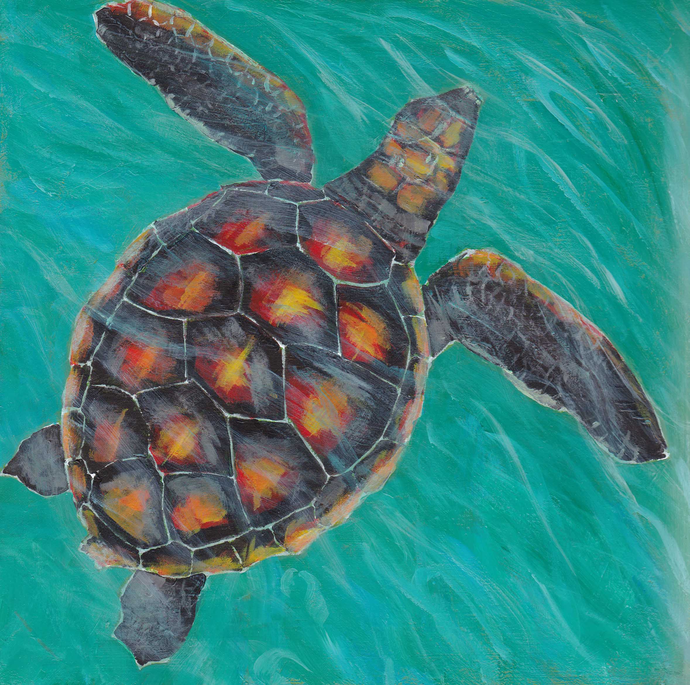 Baby Rarotongan turtle 8" x 8" acrylics